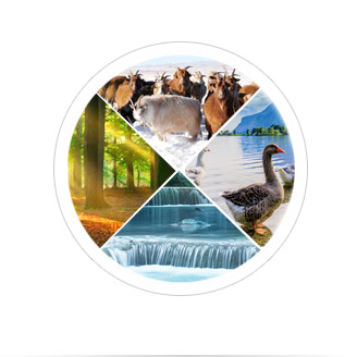 As melhores fibras têxteis de todo o mundo