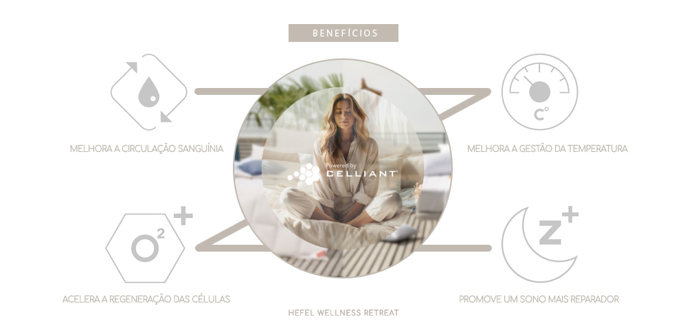 HEFEL 2025... Novidades, Wellness Retreat